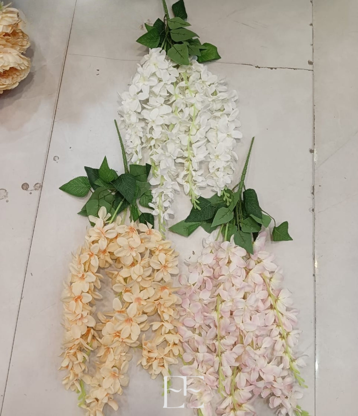 A163 Wisteria Bunch of 6