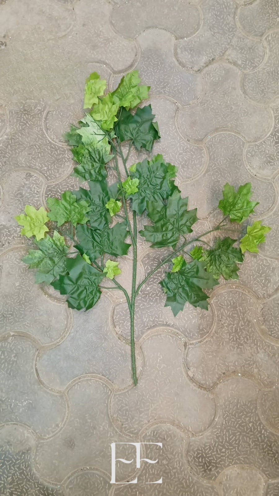 A283 Green Mapple Leaf