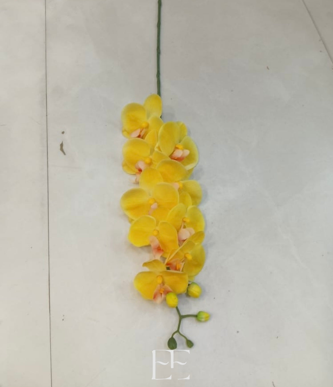 A207 Orchid - Single stem