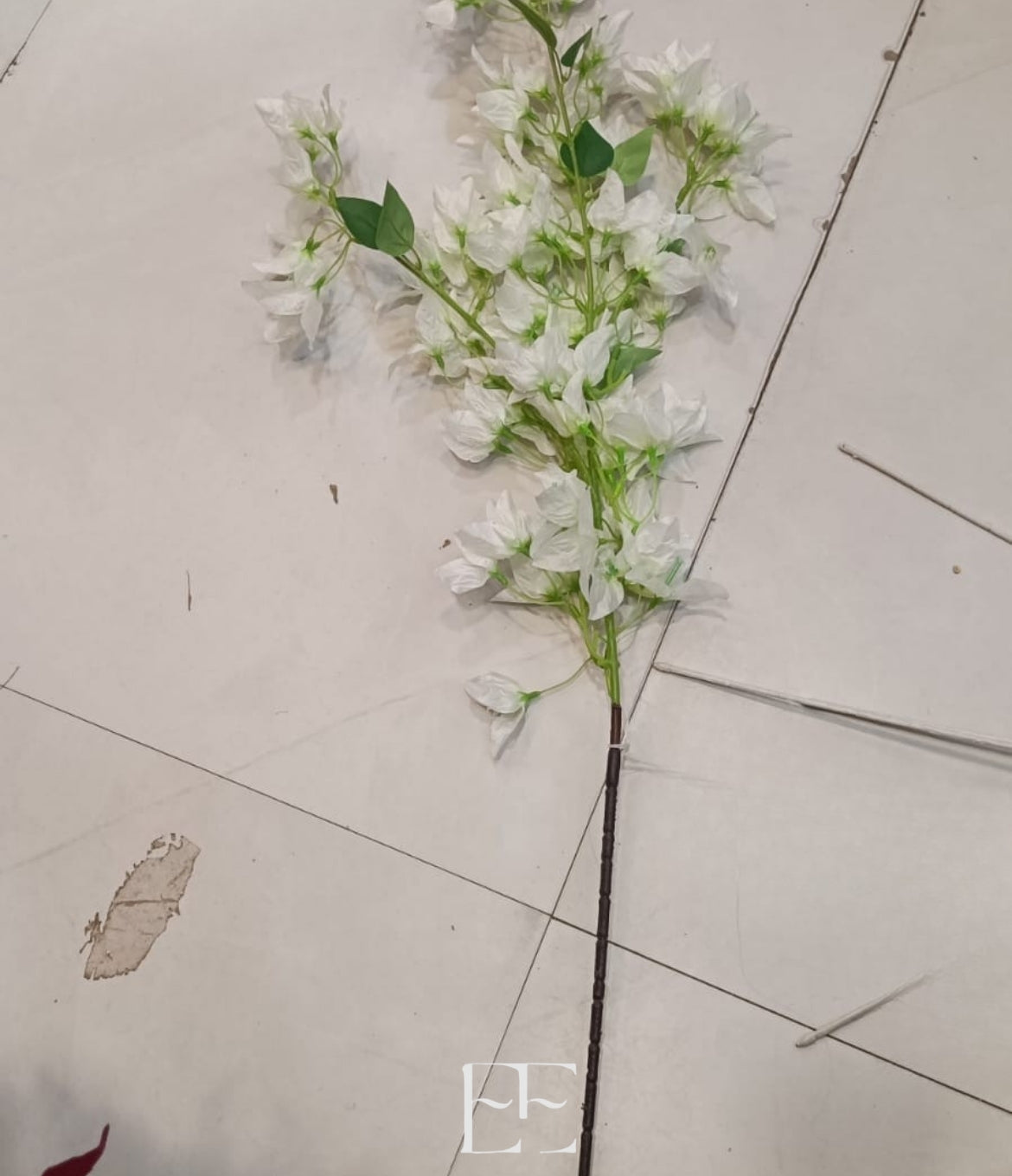 A121 Bougainvillea Stems