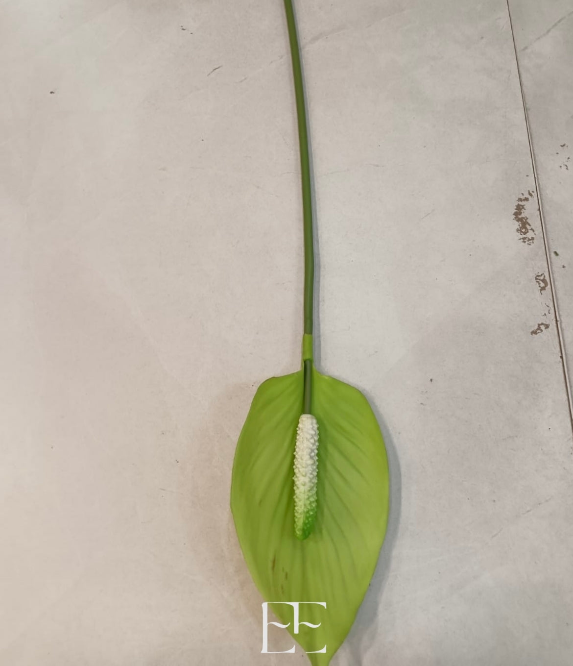 A200 Single Stem Green Leaves