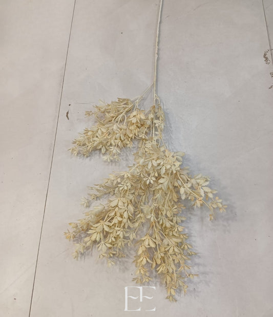 A194 Dried Flower x 6