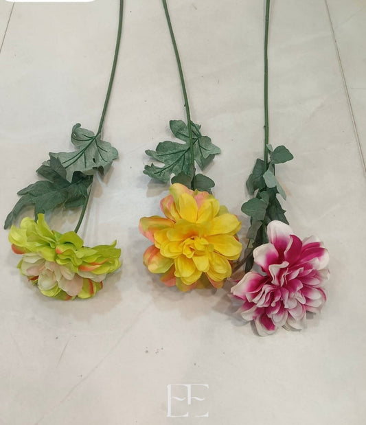 A217 Single Stem Dalhia