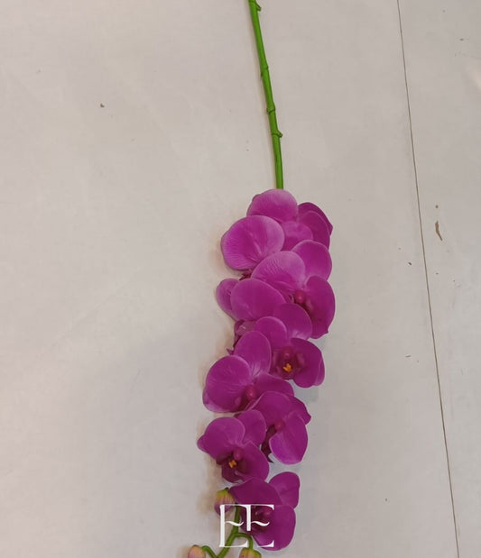 A152 Single Stem Orchid