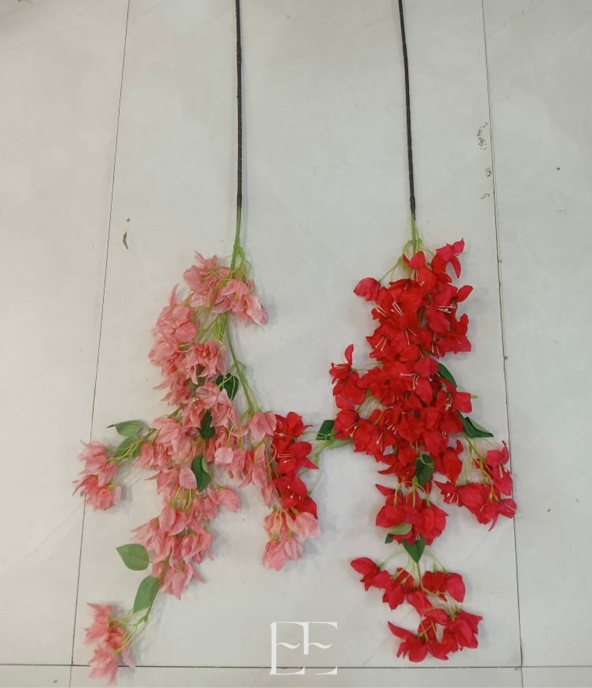 A204 Bougainvillea Stems