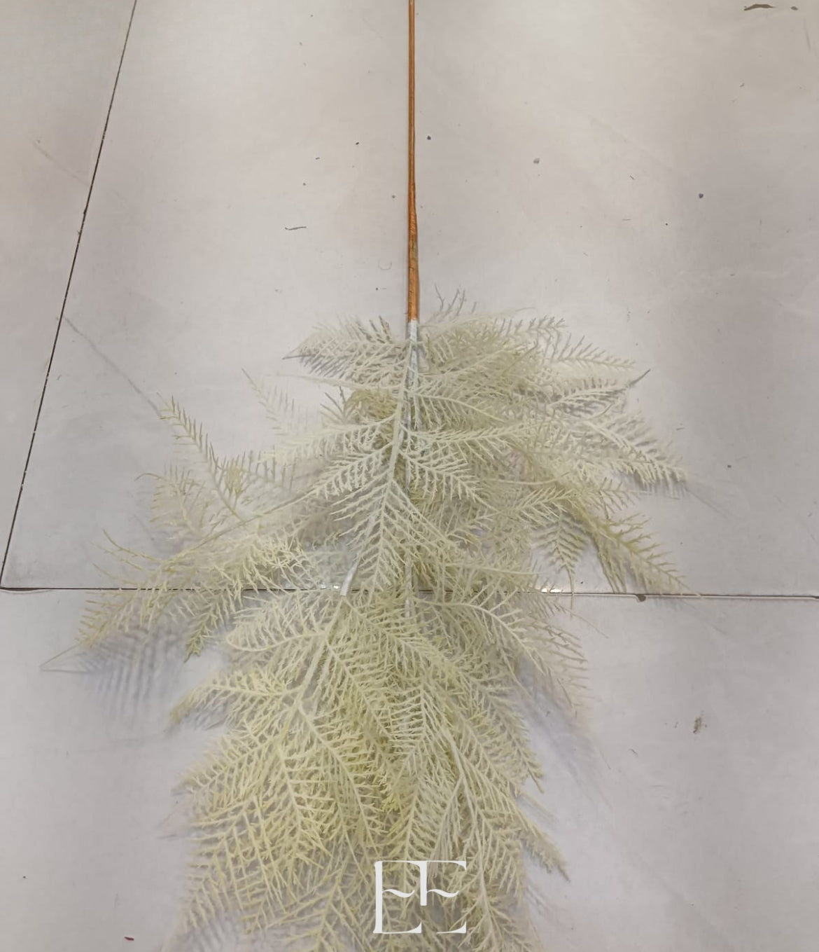 A199 Natural Dries Pampass Grass Fillers